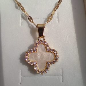 Collar Trébol Van Cleef Acero Inoxidable + Caja de Regalo