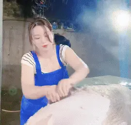 Herramienta Depilacion de Animales - Image 2